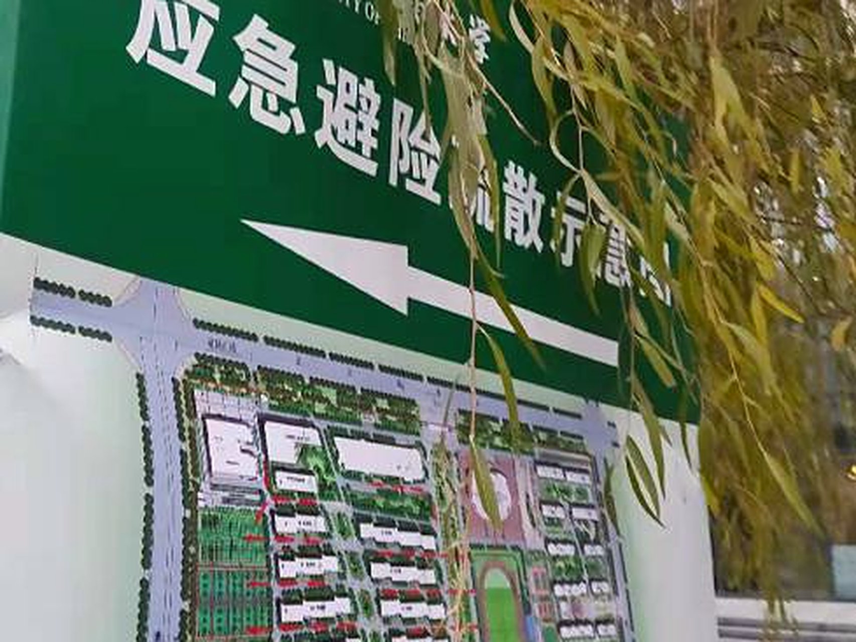 应急避险牌
